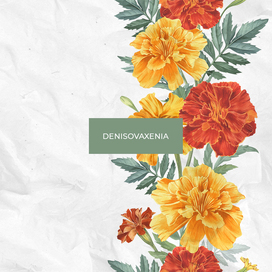 Marigolds. Seamless pattern. Watercolor illustration.