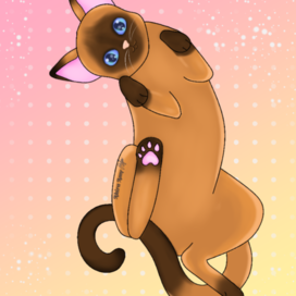 Siamese cat 🐱🧶
