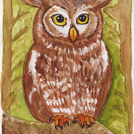 owl