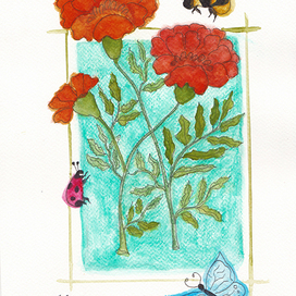 Carnation and insects