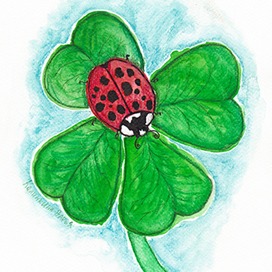 Clover and ladybug