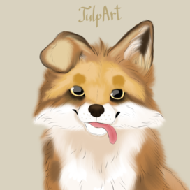 The puppy