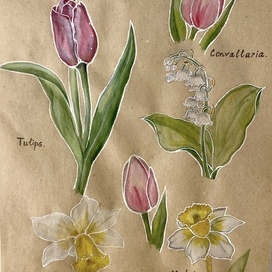 Spring