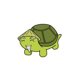 Old turtle