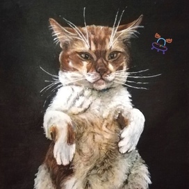 🎨"Cat"🐈