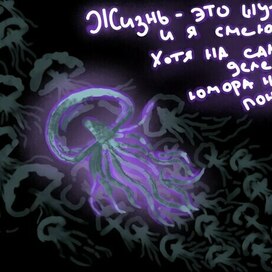 Jellyfish
