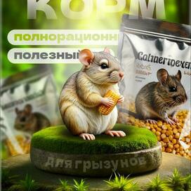Infografika