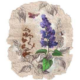 Lilacs