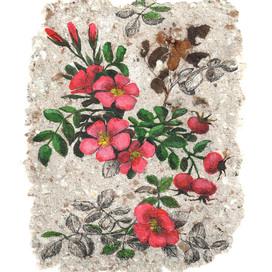  Rosehip. graphics. handmade paper