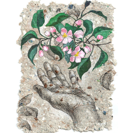 Apple Tree