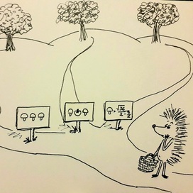 Hedgehog at the crossroads 