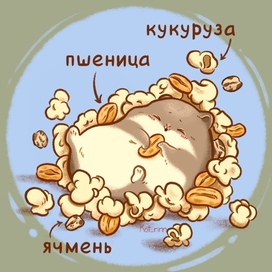 Hamster with puffed grain
