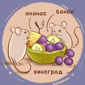 Mice with fruits