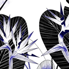 Flowers #2