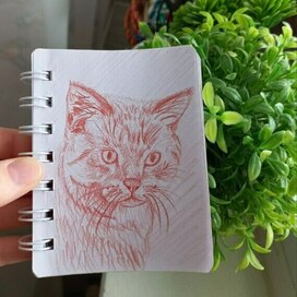 Рисунок домашнего питомца