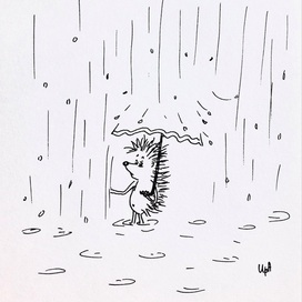 Have you ever seen the rain 