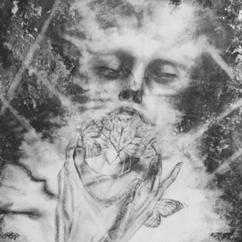 The butterflies of my pain