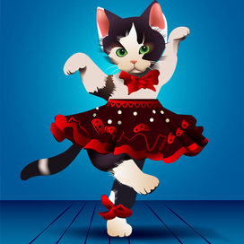 Adorable kitten dancing the salsa