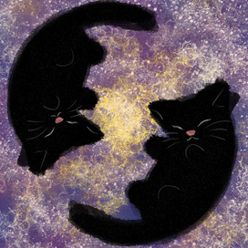 Космические котики