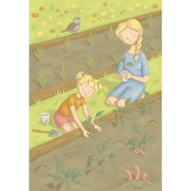 Tomatoes planting