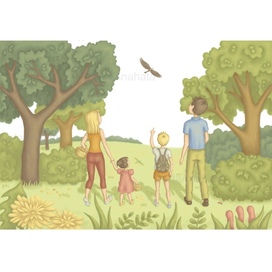 A meadow