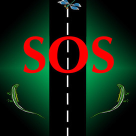 1  SOS