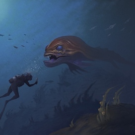 Under the Water