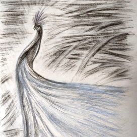 The blue bird 