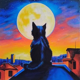 The Moon Dreamer