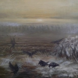 Грачи