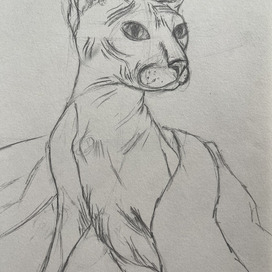 Кот