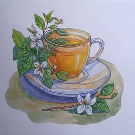  Herbal tea 