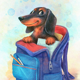 first grade dachshund