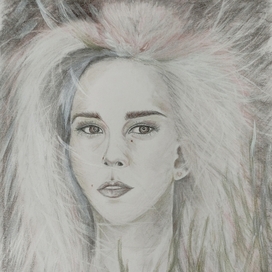 The forest witch 