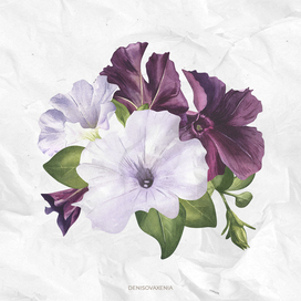 White and purple flower arrangement watercolor illustration. Black and white petunia bouquet for spring card. Gardening and harmony. Flower clip art of buds with greenery. Botanical illustration.
