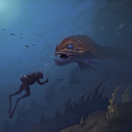 Diving