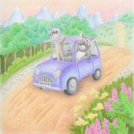 The racoon ride