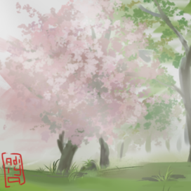 Sakura on a foggy day 