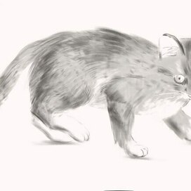Котёнок