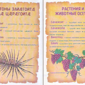 "Centipede" and "Grapes". For the nature section. Illustration designed for reduction. Published in the magazine "NOGDZAU" (Pioneer), published in the Republic of North Ossetia-Alania in Russian and Ossetian. Artist: Marat Bryzgalov.