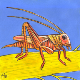 In the magazine "Why?" Section "From Around the World". Edited by the Young Technician publishing house. Published in the magazine. The illustration is prepared for a miniature print format. Decorative style. Theme: Giant Australian Grasshopper. Artist: Marat Bryzgalov.