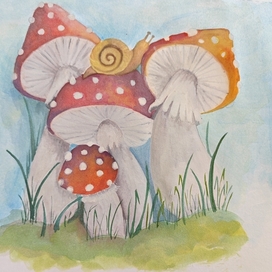  mushrooms