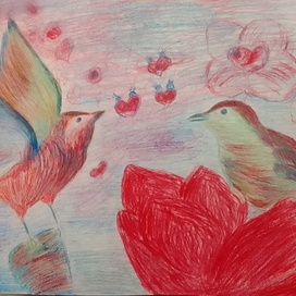 The birds 