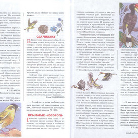 Birds. Illustrations for the magazine "Young Naturalist". Section "Why Club". Artist: Marat Bryzgalov. Technique: Paper, watercolor, ink, gouache, acrylic.