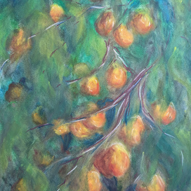 Абрикосы, 2015