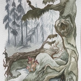 Dense forest