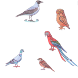 In the magazine "Why?". Section "Game Library". Edited by Young Technician. Published in the magazine. Topic: Which bird is the smartest? The illustration style is decorative and designed to be reduced. Artist: Marat Bryzgalov.