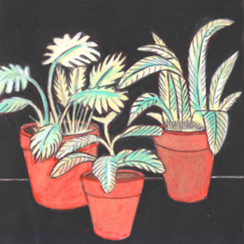 In the magazine "Why?" Section "From Around the World". Publishing House - Young Technician. Published in the magazine. Illustration for printing in a smaller format. Topic: Plants that glow in the dark have been bred. Artist: Marat Bryzgalov.