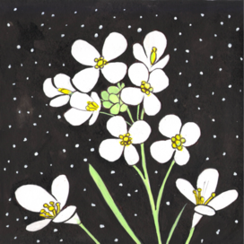 In the magazine "Why?" Section "From Around the World". Published in the magazine. Illustration for printing in a reduced format. Topic: Cabbage flowers grown in zero gravity. Artist: Marat Bryzgalov.