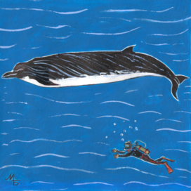 For the children's magazine "Why?" Section "From Around the World". Published in the magazine. Illustration for printing in a reduced format. Topic: A new species of cetaceans has been discovered. Artist: Marat Bryzgalov.